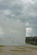 31st Aug 2012 - The Grand Finale...Old Faithful