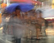 4th Sep 2012 - Brollies in the Rain