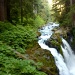 Sol Duc Falls by denisedaly