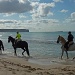 Menorcan Sea Horses on the Camí de Cavalls by phil_howcroft
