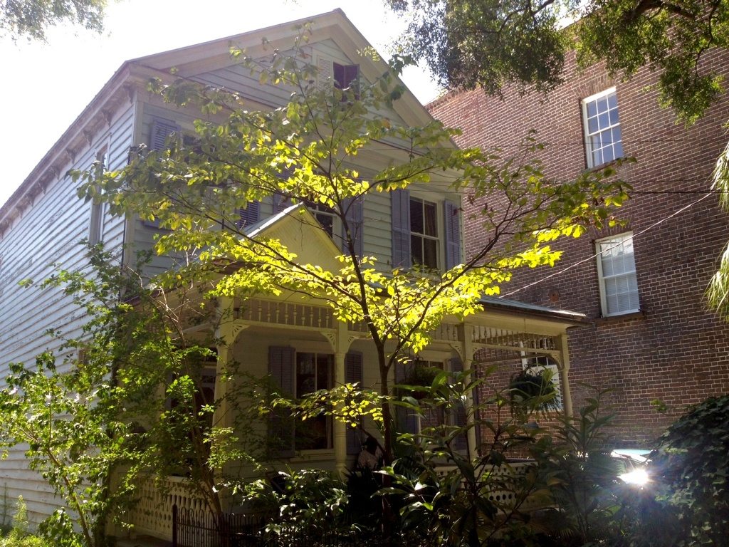 Sunlit tree and Victorian cottage, Wraggborough neighborhood, Charleston, SC by congaree
