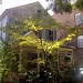 Sunlit tree and Victorian cottage, Wraggborough neighborhood, Charleston, SC by congaree