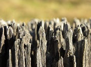 6th Sep 2012 - Weathered 1