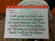 29th Aug 2012 - i will praise the Lord
