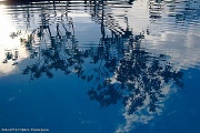 6th Sep 2012 - "Reflections of my life"