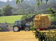 6th Sep 2012 - Another years harvest almost over.