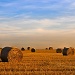 Straw Bales 2 by seanoneill