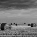 Straw Bales ~ 3 by seanoneill
