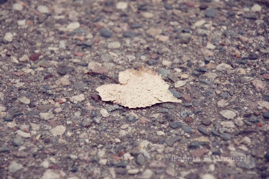 leaf love... by earthbeone