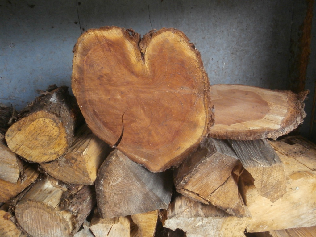 Heart of Wood by pandorasecho