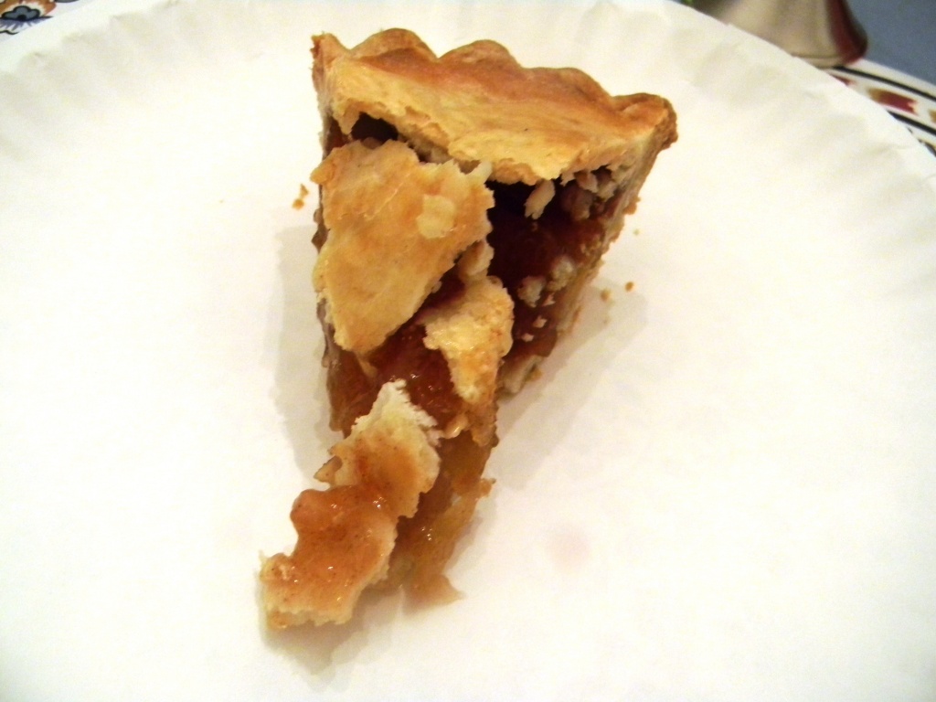 Slice of Apple Pie 9.7.12  by sfeldphotos