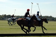 6th Sep 2012 - Polo Club du Domaine de Chantilly