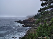 7th Sep 2012 - Maine's Rocky Coastline