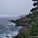 Maine's Rocky Coastline by lynne5477