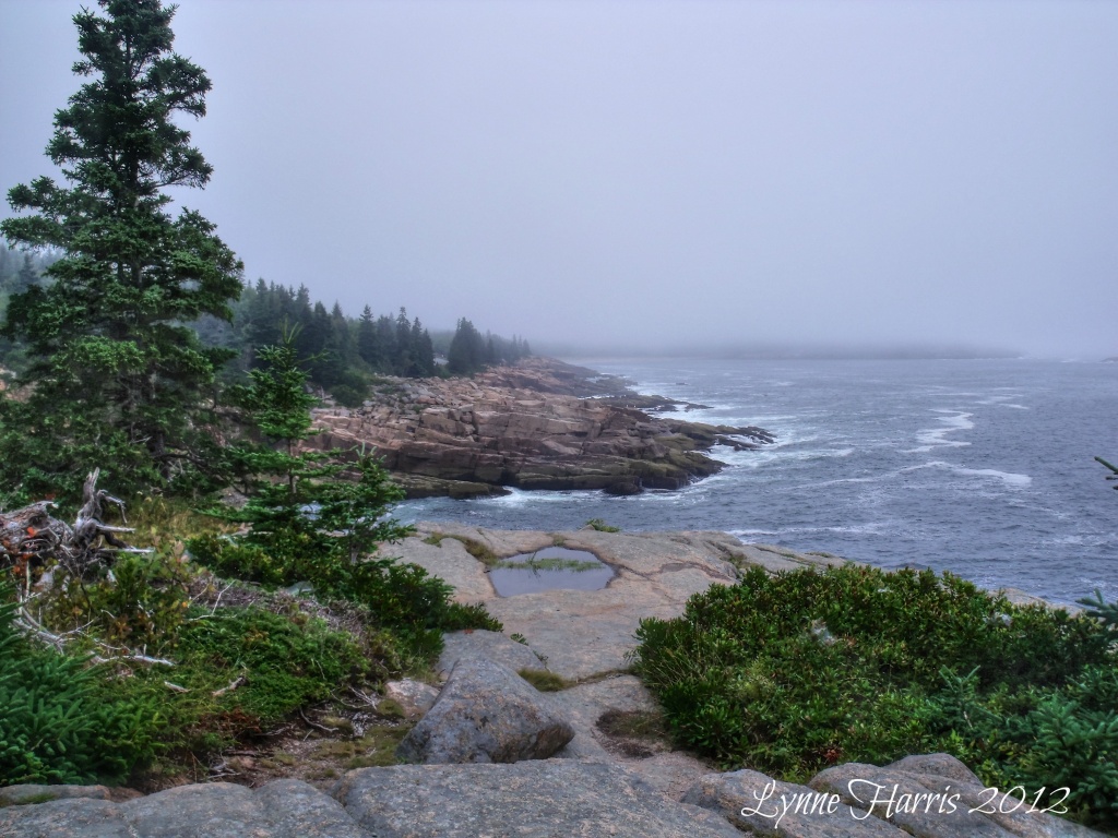Maine's Rocky Coastline #2 by lynne5477