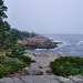 Maine's Rocky Coastline #2 by lynne5477