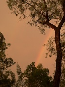 10th Aug 2012 - Rainbow
