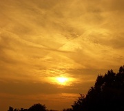 1st Jul 2010 - Sunset