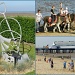 A postcard from Cleethorpes by if1