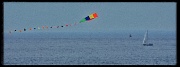 9th Sep 2012 - Sails and Tails