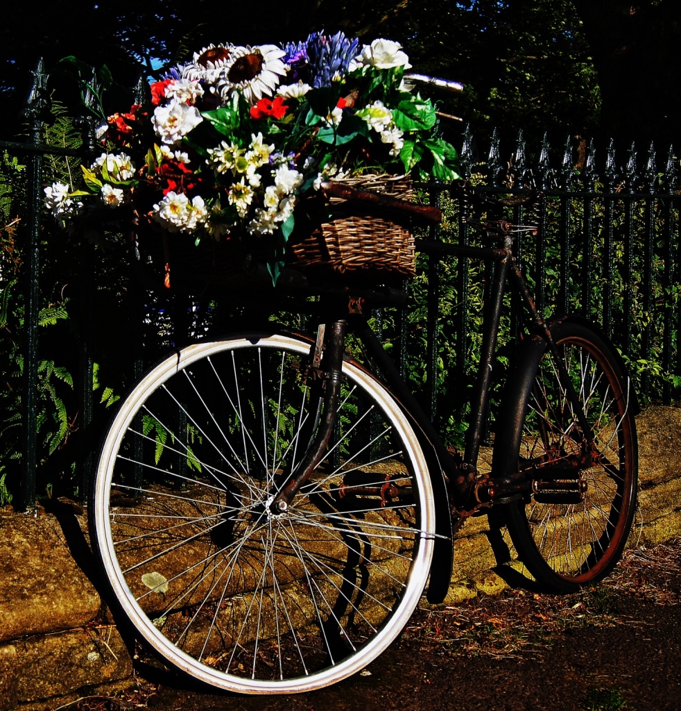 Bike Bouquet by jesperani