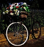 8th Sep 2012 - Bike Bouquet
