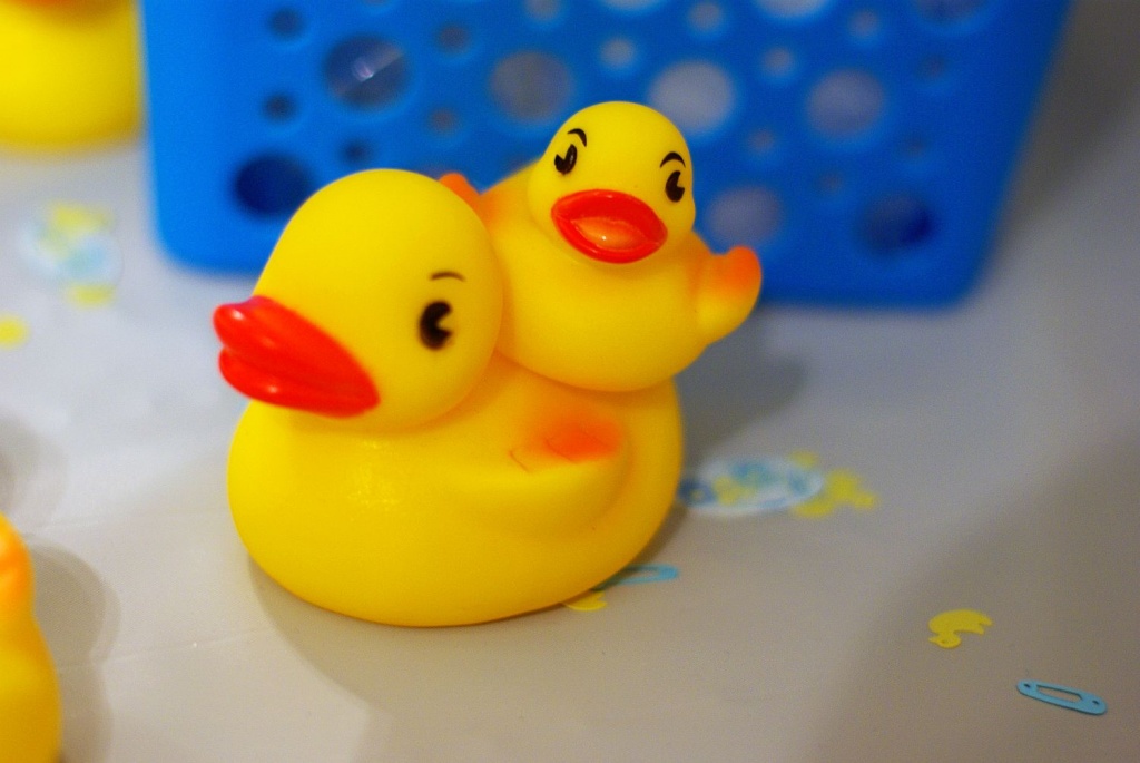 (Day 208) - Rubber Duckie & Duckling by cjphoto