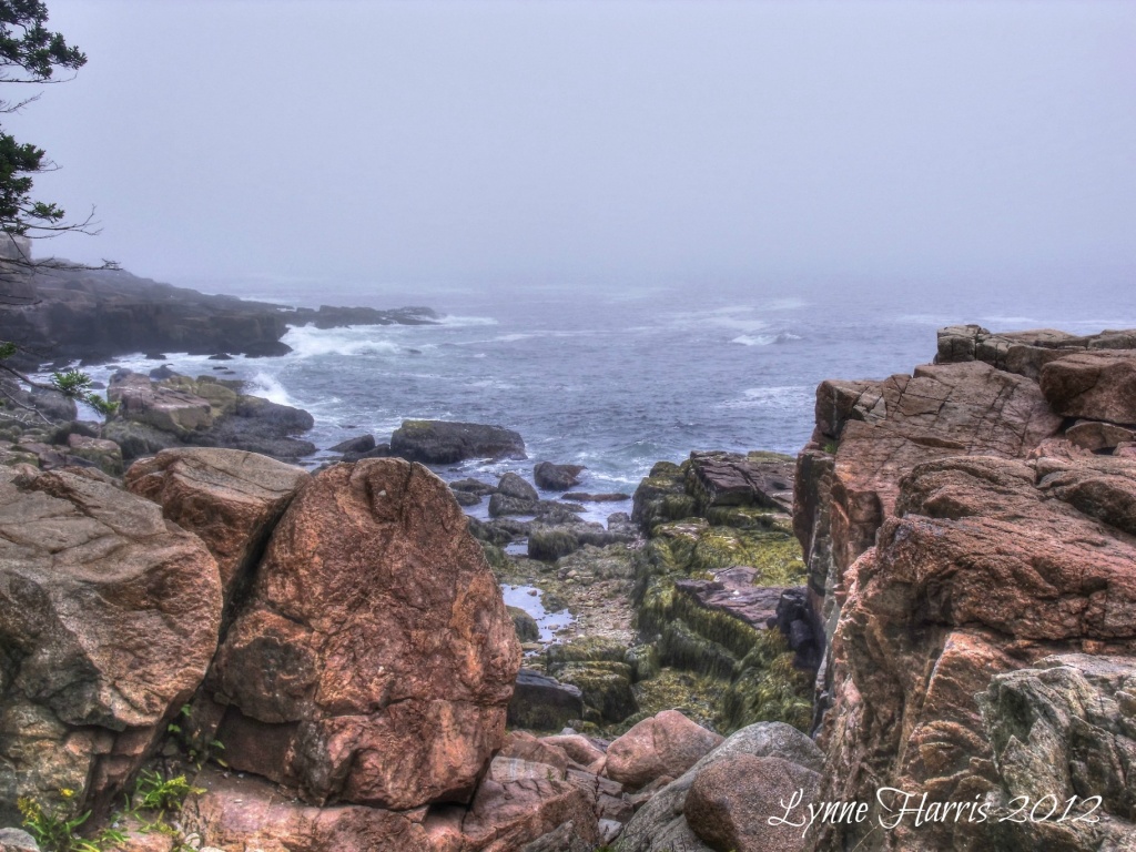 One More Maine Coastline by lynne5477