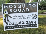 11th Jul 2010 - Mosquito Squad