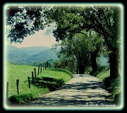 29th Aug 2012 - Country Roads Take me Home