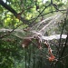 Spider's web in the sun by lellie