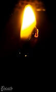 10th Sep 2012 - This Little Light of Mine