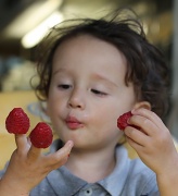 1st Sep 2012 - Raspberries