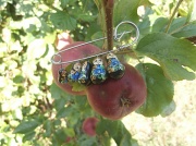 11th Sep 2012 - Matryoshka 2 (nesting in the apple tree)