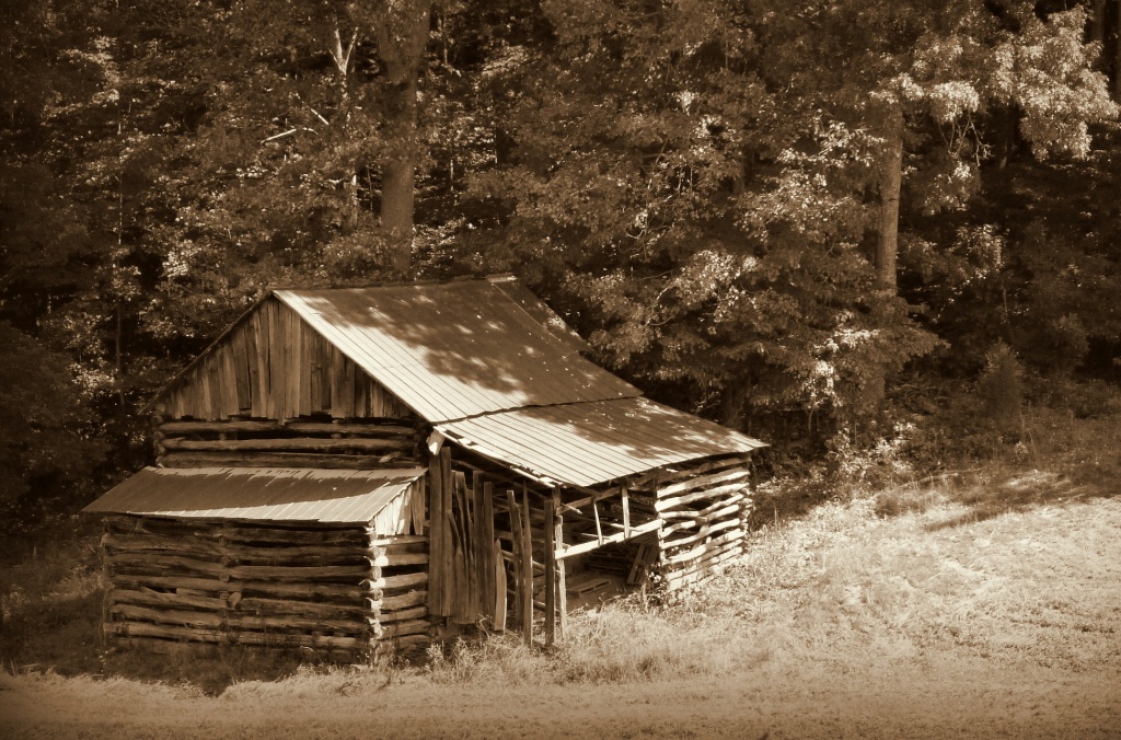 An Old Log Barn by calm