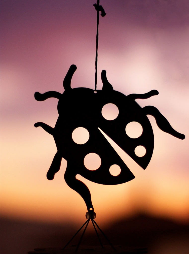 (Day 210) - Ladybug Silhouette by cjphoto