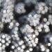 Blackberry sparkle.   by sulollibow