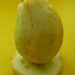 Lemon Cucumber by handmade