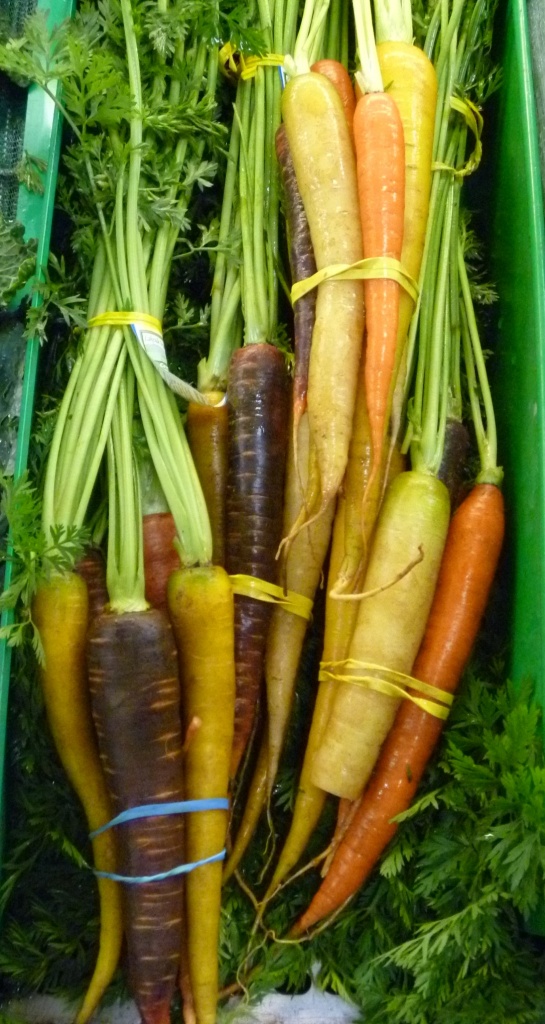 Carrots by handmade