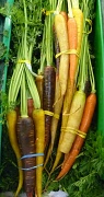 12th Sep 2012 - Carrots