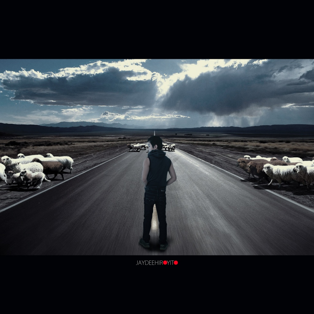 Black Sheep  by gavincci