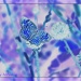 Blue Butterfly by cindymc