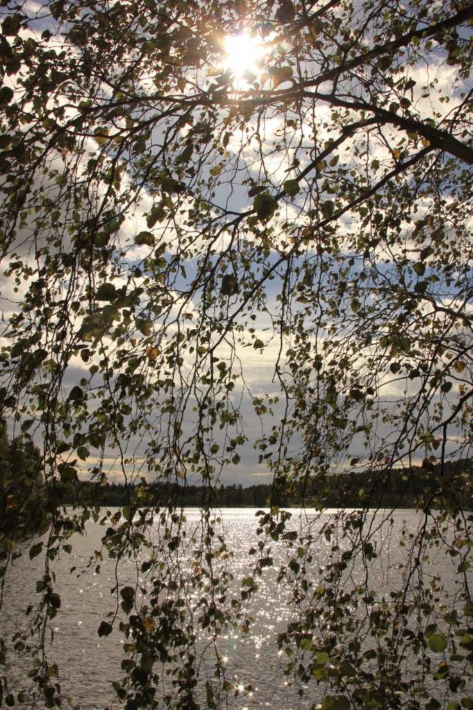 sognsvann lake by belucha
