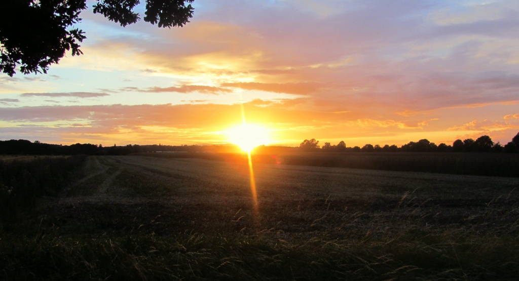 Harvest-time    11.9.12 by filsie65