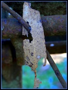13th Sep 2012 - Weathered 2
