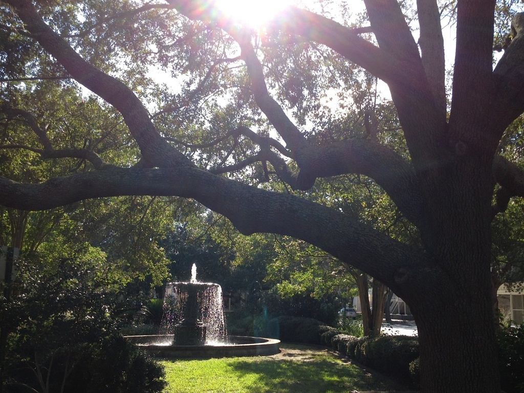 Chapel Street Park and fountain with live oak, Charleston, SC by congaree