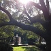 Chapel Street Park and fountain with live oak, Charleston, SC by congaree