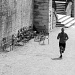 Jogger in  theTuileries by parisouailleurs