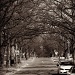 It's just a street by nicolecampbell