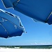 Beach Umbrellas by soboy5